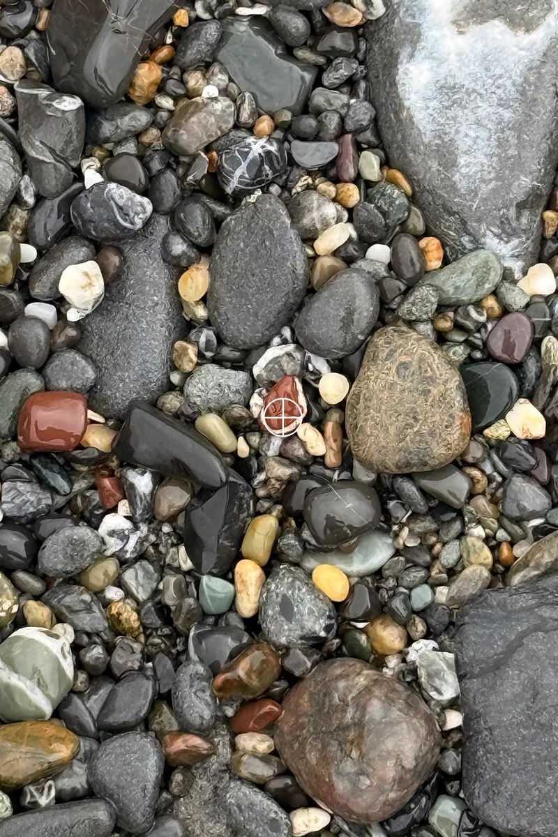 Wet beach rocks shown in a real ColorPickr camera view